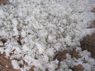 IMG_1419.jpg
